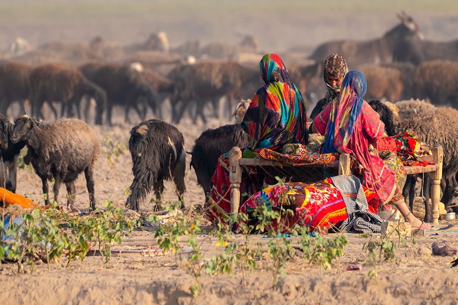 women goat herders in Asia