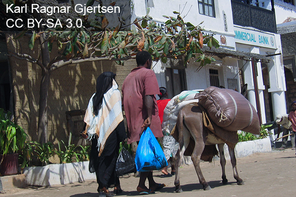 Photo of couple with donkey in Lamu Kenya by Karl Ragnar Gjertsen. CC BY-SA 3.0 via wikimedia commons