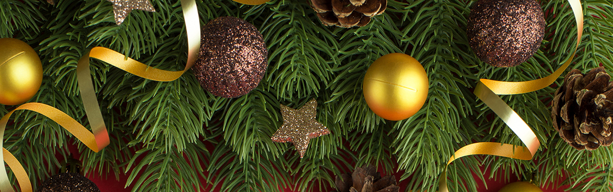 background image with evergreen baubles and ribbon