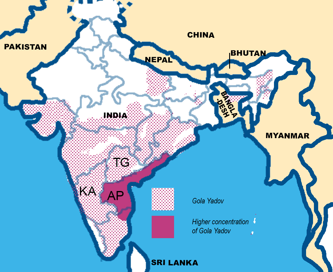 map showing concentration of Gola Yadov people in India